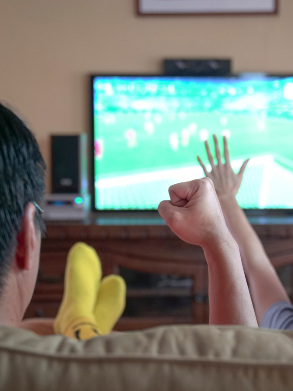 Access, Time, & Money Drive Fan Engagement